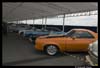 exd50-070125-7706-raw