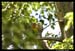 exd50-0603-02867-c