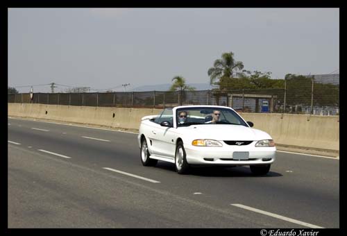 exd50-0608-05584-d