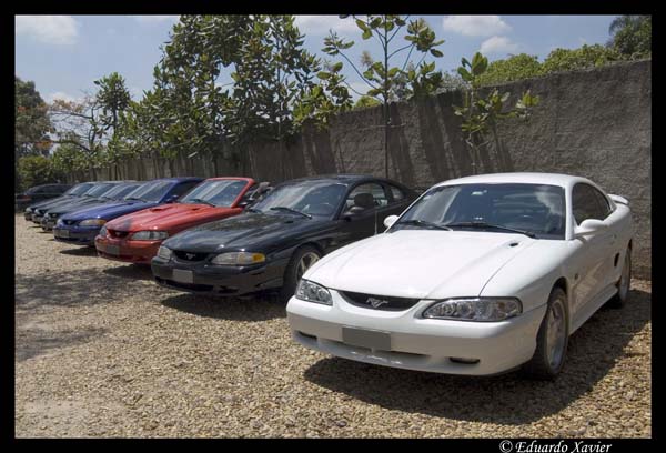 exd50-070311-08047-crop